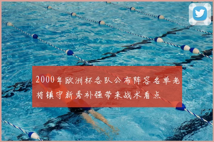 2000年欧洲杯各队公布阵容名单老将镇守新秀补强带来战术看点