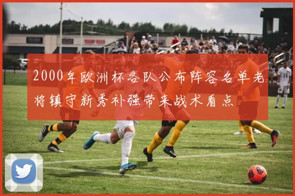 2000年欧洲杯各队公布阵容名单老将镇守新秀补强带来战术看点