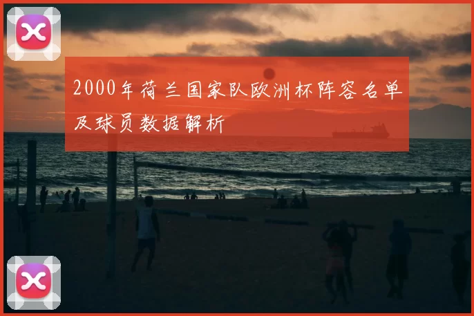 2000年荷兰国家队欧洲杯阵容名单及球员数据解析