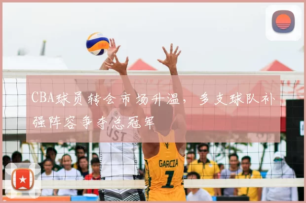 CBA球员转会市场升温，多支球队补强阵容争夺总冠军