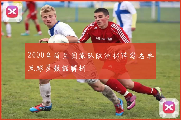 2000年荷兰国家队欧洲杯阵容名单及球员数据解析