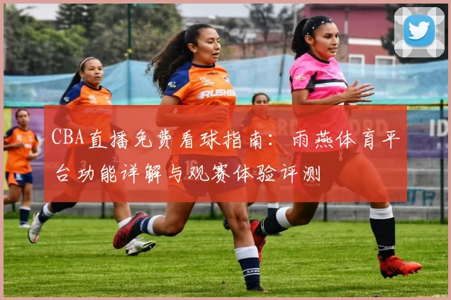 CBA直播免费看球指南：雨燕体育平台功能详解与观赛体验评测