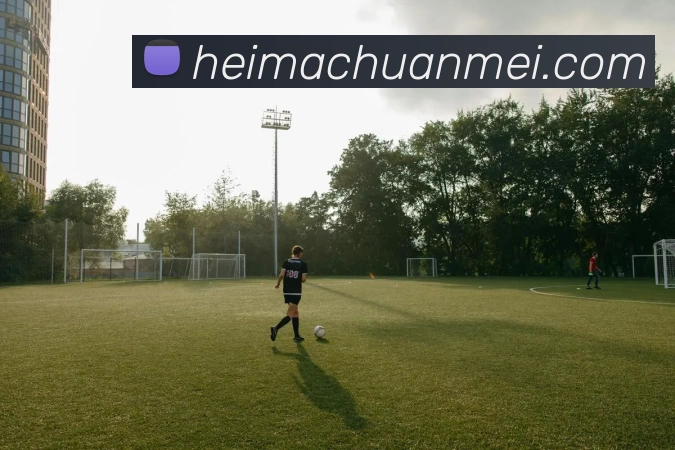 九游体育官网登录入口服务体系